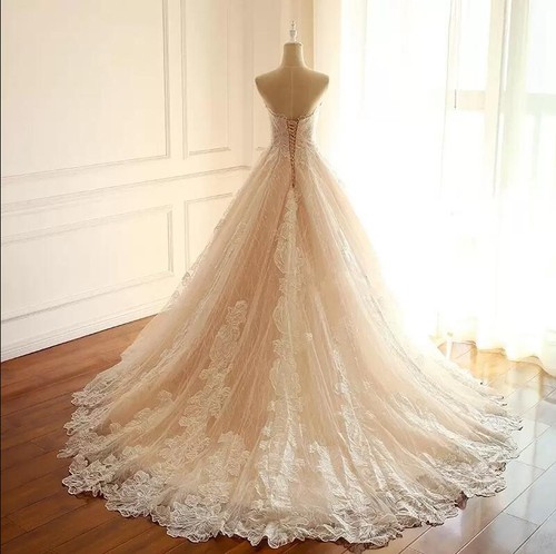 Champagne Wedding Dresses With Train Sleeveless Lace A Line Corset Bridal Gowns - Picture 3 of 9