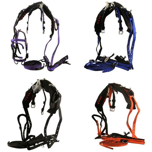 SINGLE NYLON DRIVING WEBBING HORSE BRIDLE REINS TRACES CRUPPER CARRIAGE HARNESS SINGLE NYLON DRIVING WEBBING HORSE BRIDLE REINS TRACES CRUPPER CARRIAGE HARNESS