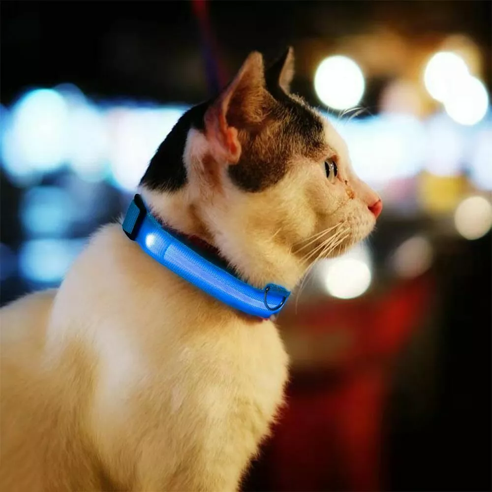 LED Dog Pet Collar USB Rechargeable Flashing Luminous Safety Night Light Up UK