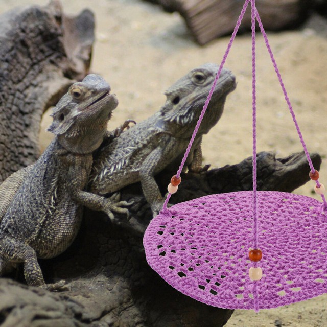 Animals Reptile Hammock Cat Swing Lizard Hammock for Small Pets Home Decorate Animals Reptile Hammock Cat Swing Lizard Hammock for Small Pets Home Decorate