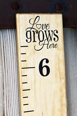 diy vinyl growth chart ruler decal kit large style vinyl growth chart ruler decal kit