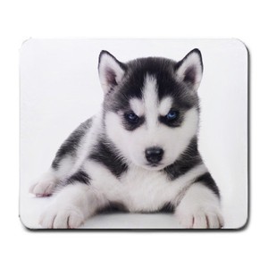 alaskan husky puppy dog on white mouse mat pad mousepad ebay