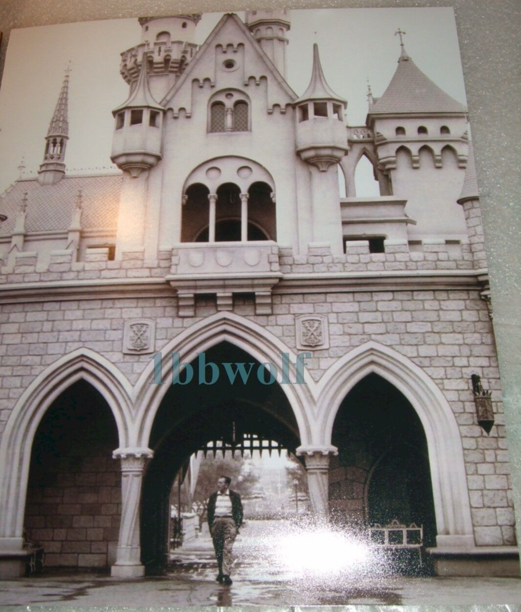 Picture 4 of 4