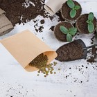  100 Pcs Seed Bag Garden Storing Corn Bags Paper Storage Envelope