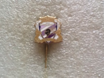 Romanian Football Club Politehnica Timisoara Enameled Pin Stickpin Ebay