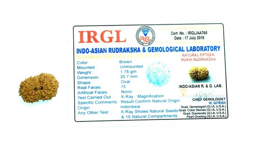 INDONESIO QUINCE 15 FACETAS MUKHI COLECCIONISTA RUDRAKSHA CUENTAS ELÉCTRICAS MÁS RARAS RUDRAKSH - Imagen 2 de 3