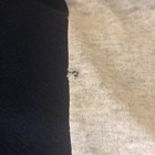 Foto 5 di 5