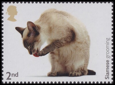 family cats　0308 s-l400.jpg