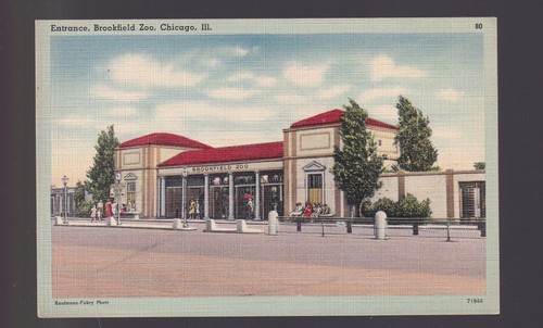 Vintage Postkarte Leinen 1930-45, Brookfield Zoo, Chicago Illinois IL