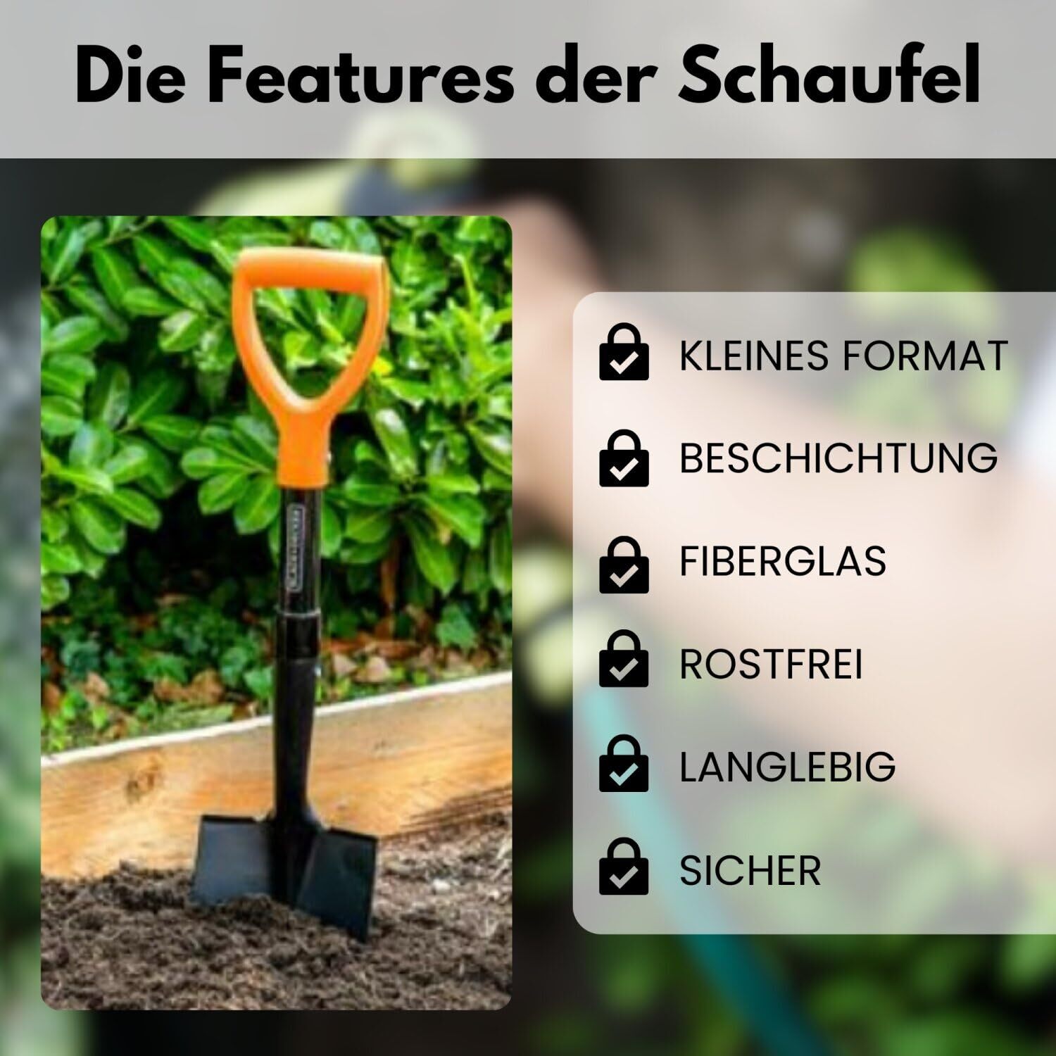 Bild 4 von 5