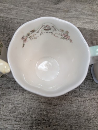 Juego de 4 tazas de té Royal Doulton Brambly Hedge 1983 invierno primavera verano otoño - Imagen 13 de 22