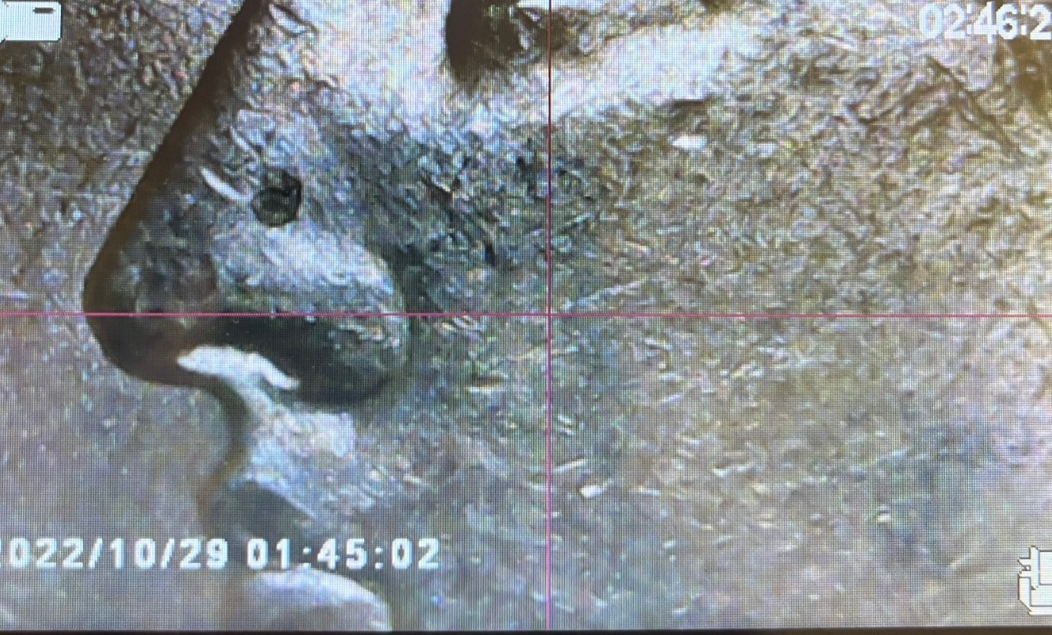 Picture 2 of 3