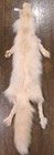 Rare Nice Ranch Pink Fox Hide Pelt Freshly Tanned Luxurious Fur 4 Legs
