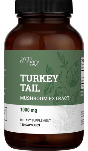 Echte Pilze Truthahnschwanz Bio Pilzergänzung - Bild 1 von 4