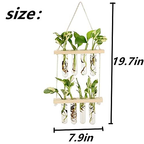 Wall Hanging Planter, 2 Tiered Plant Propagation Stations Plant Wood Color - Picture 4 of 5