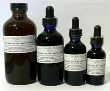 Atlantic Kelp Tincture, Extract, Thyroid, Seaweed, Multiple Sizes