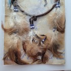 Bild 2 von 6