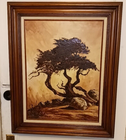 Picture 6 of 14