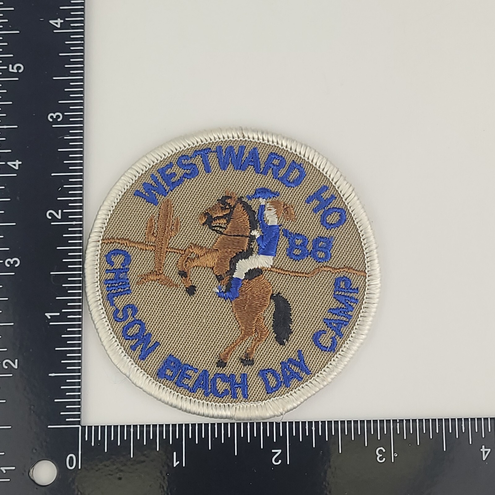 Picture 4 of 4