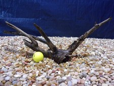 Medium Driftwood 08"x20"x03" Aquarium Terrarium Reptile Natural Art