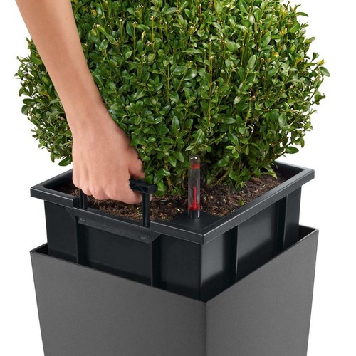 Macetas altas para interiores y exteriores LECHUZA CUBICO cuadradas de plantas autoriegables - Imagen 4 de 17
