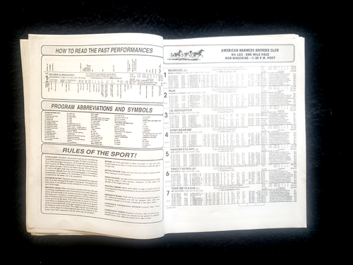 1993 Freehold Raceway Harness Racing Program - PRESIDENTIAL BALL (HOF) - Picture 4 of 8