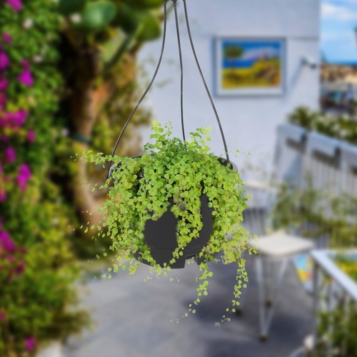 Hanging Planters for Indoor Plants Pots Outdoor Plastic Containers - Picture 4 of 12