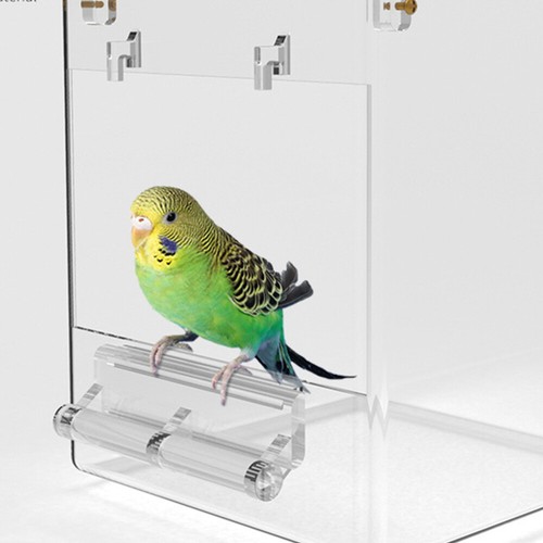 Budgie Bird Bath Anti Spill Parrot Feeder Large for Cage Tub Tool Toy - Picture 11 of 12