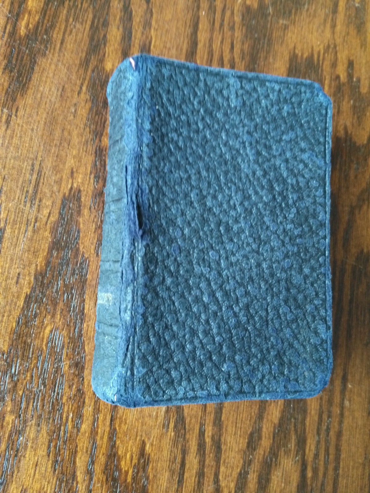 Picture 6 of 6