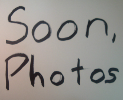 Shimano XTR FH M950 Rear Hub 135mm 32h for sale online | eBay