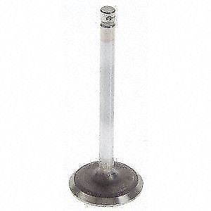 1985-1997 Ford 300 4.9L OHV L6 INTAKE /& EXHAUST VALVES