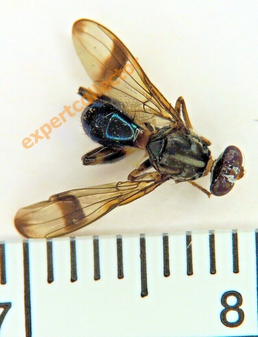 Picture 1 of 3