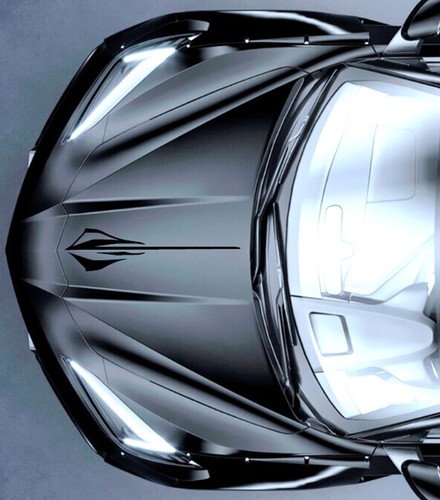 NEW - STINGRAY Hood vinyl Decal Racing Stripes 3 sizes (Fits Chevy CORVETTE C8) - Picture 9 of 23