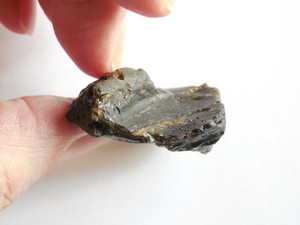 RARE-AAA-40x32x16mm-DARWIN-GLASS-TEKTITE-TASMANIA-AU-17-14g-IMPACT-GLASS-2