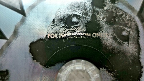 Farmer Boys – Till The Cows Come Home Maxi - CD Rare Blue Promo Sleeve EX+ - Bild 3 von 6