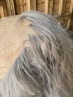 Bild 11 von 20