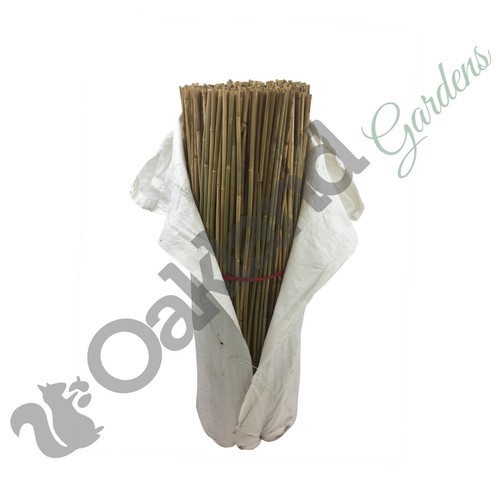 Bamboo Canes 3ft Thick Stake Garden Plant Flower Support Stick Cane Pole Frame - Picture 10 of 17