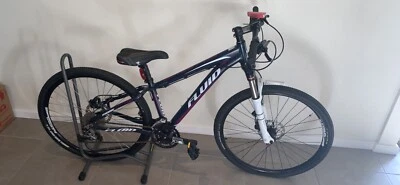 fluid renegade mountain bike