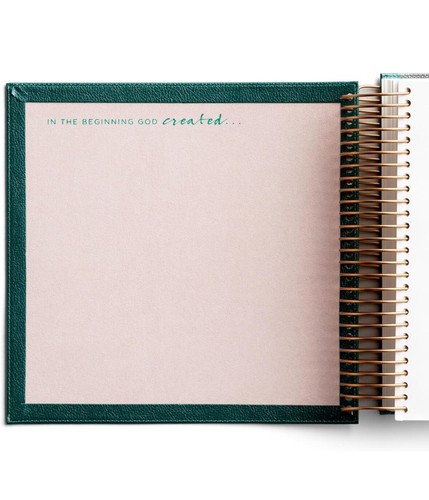 Illustrating Bible / Journal CSB Green by Dayspring (2019, Faux Leather)* - Picture 3 of 9
