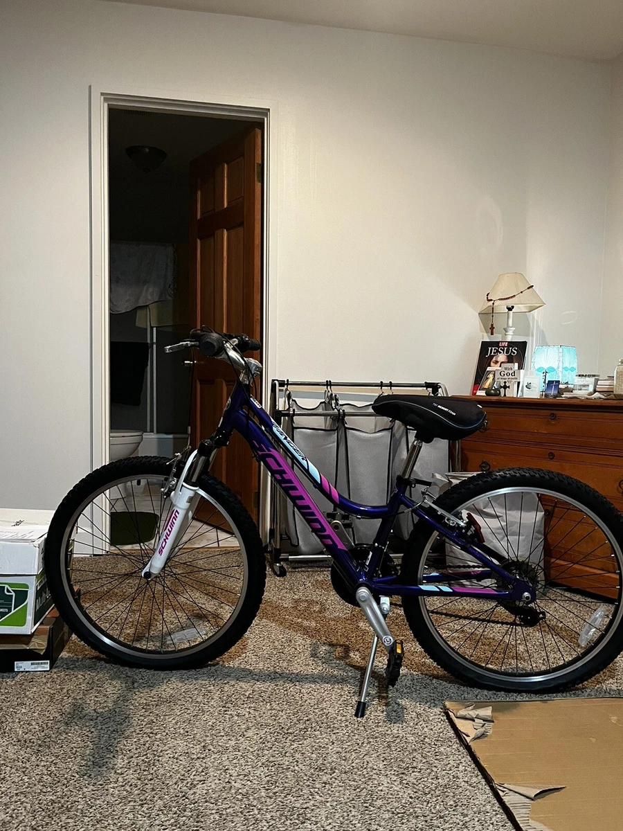 Schwinn 24 inch bike girl new arrivals