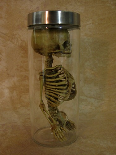 Fetus or Alien Torso in Plastic Jar, Halloween Prop, New - Imagen 3 de 5