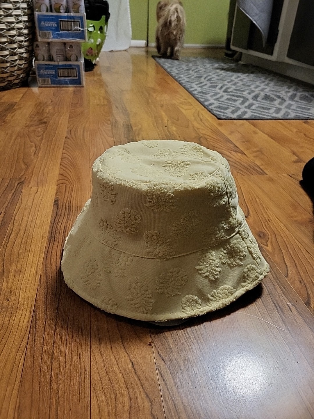 Picture 6 of 12