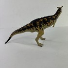 Picture 3 of 10