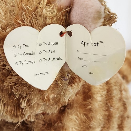 TY BEANIE Babys BUDDY Tysilk Seide APRICOT Hang Tag TABBY Plüsch KATZE KÄTZCHEN 2004 - Bild 10 von 10