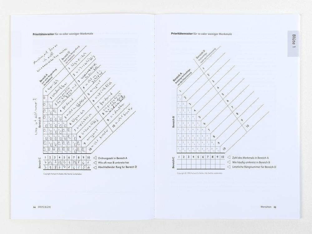Thumbnail - Durchstarten Zum Traumjob - Das Workbook | Richard Nelson Bolles (u.