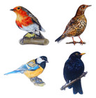 Garden Birds Magnet Set - Garden Bird Magnet Set Bird Gifts -  B13/21/25/28 -JM