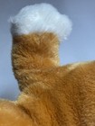 Bild 11 von 15