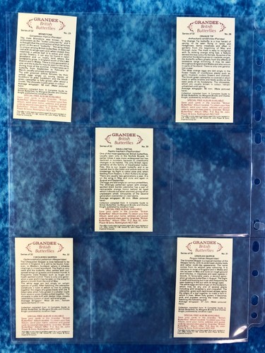 John Player & Sons - Grandee British Butterflies Juego completo de 32 cartas 1983 - Imagen 9 de 9