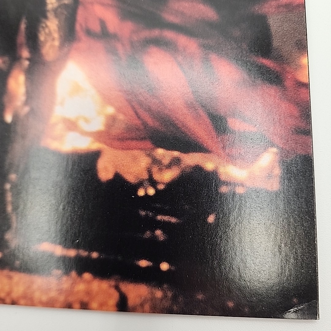 Picture 5 of 10