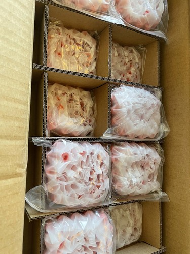 50X L6 GLASS /POK TAPERED MATTE PMS (RED) OPAGUE / MOUTHPIECES - Picture 7 of 10